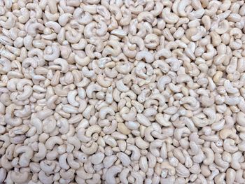 Premium Quality New Crop WW320 Cashew Nuts Kernel Fresh and Nutritious Vietnam Wholesale in Bulk
