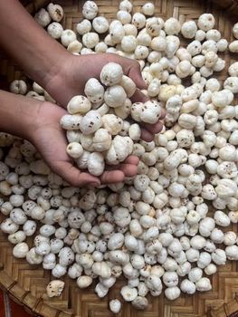 Fox nuts ( makhana ) - Dhillon ventures - India