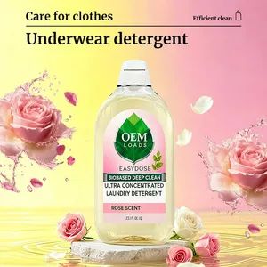Premium Underwear Laundry Detergent for Bright Colors and Whites - Guangdong Jieyi Group Co., Ltd - China