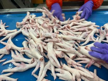 Chicken Paws 35grms+ - Harta Mahamega - Malaysia