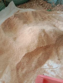 High Quality Dried Shrimp Head Shell Powder Feed Grade Animal Protein Supplements for Livestock-Fish Pig Sheep Goat Crab - Njang Investments Limited - Kenya