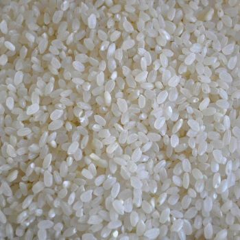 Medium-Grain Round Sushi Koshihikari 5% Broken Rice Top Grade Hard Texture AD Dried From Factory - TRADECENTRIC LLC - United States