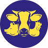 Product – product photo, Wheat Feed products found from trusted suppliers, wholesalers, manufacturers & exporters Listing