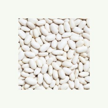 Trade Winged Canned Protein Large Medium DryingRed Soya White Kidney Bean - BV KriPi - Belgium