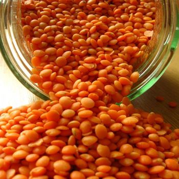 Canadian Organic Dried Split Red Lentils Bulk Wholesale Food Grade Supplier with 2 Year Shelf Life - TRADECENTRIC LLC - United States