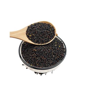 Rapeseed bulk supply at factory discount price for global importers - MASI TRADING GMBH - Germany