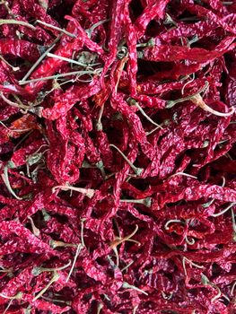 DRIED RED CHILLY - AA OVERSEAS ENTERPRISES - India