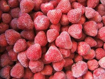 FROZEN STRAWBERRY IQF Color Vibrant Texture Fresh Storage Type FREEZING Variety Garden Strawberry Storage Temperature -18°c - Sindo Industrial Co Ltd - China