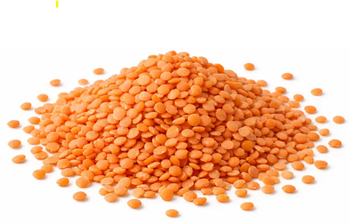 Canadian Red lentils from Zak export Canadian Red lentils - Zak export - Canada