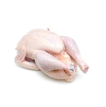 Premium Supplier Halal Frozen Whole Chicken Halal Chicken Processed Meat from Portugal – product photo, Halal Frozen Whole Chicken products found from trusted suppliers, wholesalers, manufacturers & exporters Listing