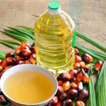 Refined Palm Oil (RBD Palm Olein) - inkwali - South Africa