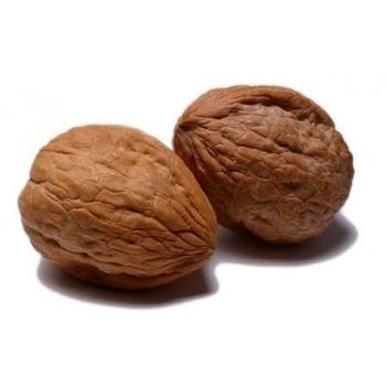 Walnuts SHELLED - Lawana and Sons Supplies - South Africa