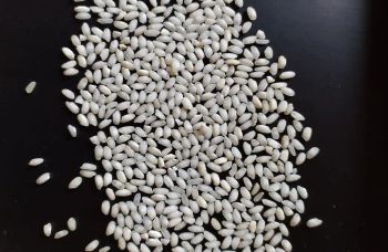 Arborio Rice Features Gluten-Free, Lactose-Free, No Preservatives, Vegan - RESCHIRISO DI STEFANO PEZZONI & C. SAS - Italy