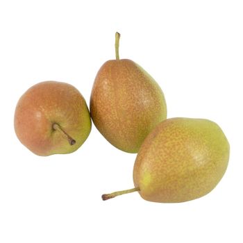 Fresh Pear Orchard Fresh Selection Featuring Balanced Sweetness Bright Appearance And Secure Packaging - TOSOH INTERNATIONAL - South Africa