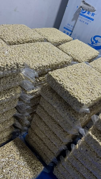 Cashew Nuts - Eastagro export company - Tanzania