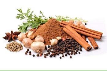 Spice Powder – Premium Export Quality - Buddha Overseas - India