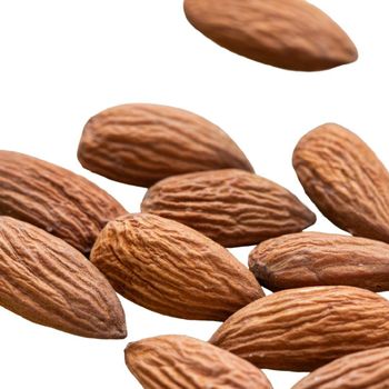 High Grade Natural Almonds With Rich Flavor And Fresh Almonds Offered For Bulk Purchase And Export - THE GREEN INTERNATIONAL LIMITED - Tanzania