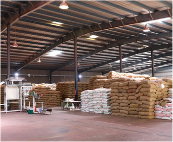 Mild Steel Prefab Warehouse Construction Services Built Type Prefab Material Mild Steel Time Duration 1 Month Durability - Arvind Construction - India