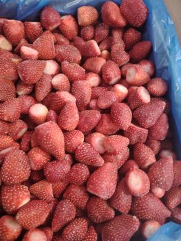 frozen strawberry ,fig apricot Features Organic Fruit Type Fruit Mix - Elbardy international - Egypt