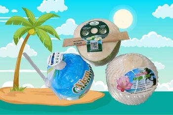 Fresh Young coconut Packaging 9-12 pỉeces/carton Quality Xiem variety, Class - HAO QUANG COCONUT ONE MEMBER COMPANY LIMITED - Vietnam