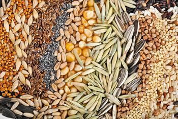 Grains, Oilseeds, Oils - Al Rayan Plc - United Kingdom
