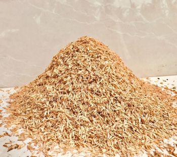 RICE HUSK Origin PAKISTAN Features Organic Form Whole Grain Grain Type Barley Packaging 50 KG PP BAGS - HNM Enterprises (Private) Limited - Pakistan