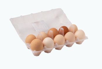 Quail and chicken eggs Flavor Rich Origin Russia Appearance Farm-fresh, Fresh Nutrition Packed With Nutrition Quality Assurance Hand-selected - Westpoint - Estonia