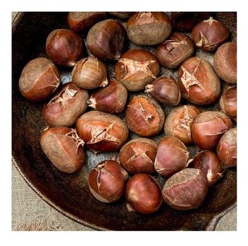 100% Top quality fresh chestnuts/organic chesnuts for Export from CALIPSO POLSKA SP Z OO 100% Top quality fresh chestnuts/organic chesnuts for Export - CALIPSO POLSKA SP Z OO - Poland