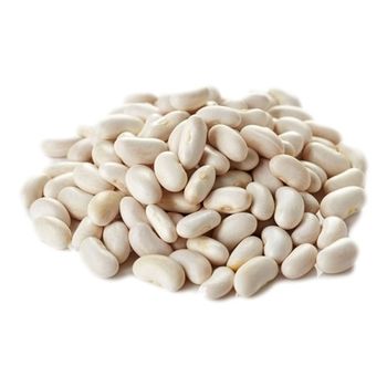 White Kidney Beans For Export for sale - SuMa Wasserbetten GmbH - Germany
