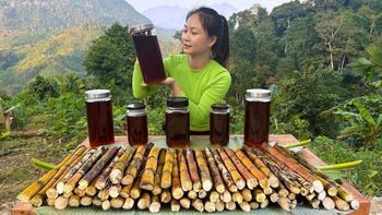 Sugarcane Molasses Color Dark Texture Thick Feed Additive Use For Cattle And Livestock Flavor Rich And Sweet, Rich, Sweet, And Nutty -  DAEWKAEW PANTAMANG Co., Ltd - Thailand