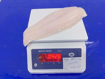 Pangasius Fillet Frozen - Blue Wave International Limited Liability Company - Vietnam