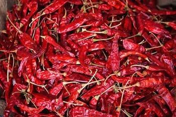 Premium Indian Whole Dry Red Chilli (Stem & Stemless) | Guntur Teja, S17, Byadgi, Kashmiri Varieties from BASANT GLOBAL EXIM Premium Indian Whole Dry Red Chilli (Stem & Stemless) | Guntur Teja, S17, Byadgi, Kashmiri Varieties - BASANT GLOBAL EXIM - India