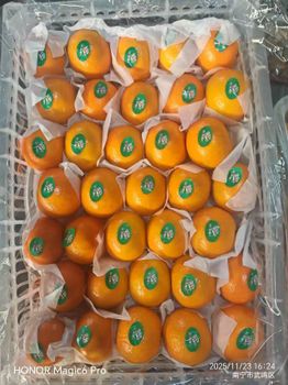 Fresh mandarins Size Range 55-70mm Net Weight 9kgs / Box Packaging Plastic Box Gross Weight 9.3kgs / Box Minimum Order Quantity 3,000 Boxes - ZHANGZHOU CROSSSEA INTERNATIONAL TRADE CO., LTD. - China