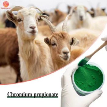 Nutrient Enhancer Chromium Propionate High Content 62% Supplemental Chromium Element - Sichuan Shangyuan Huisheng Biotechnology Co. Ltd - China
