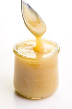 Best Quality Condensed Milk Bulk Deal Features Kosher Fat Content 0.12 Milk Type Goat Milk Delivery Form Unpackaged - MASI TRADING GMBH - Germany