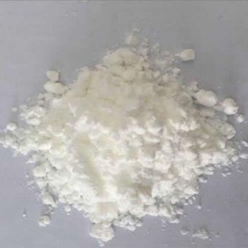 Buy Ephedrine Powder online at wholesale prices Concentration 99.50% Taste Bitter-tasting Aggregate State powder Area of Application - BOLIDO NETHERLANDS B.V. - Netherlands