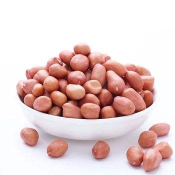 Roasted Peanut Kernels/Premium/Crispy&Fresh from Njang Investments Limited Roasted Peanut Kernels/Premium/Crispy&Fresh - Njang Investments Limited - Kenya