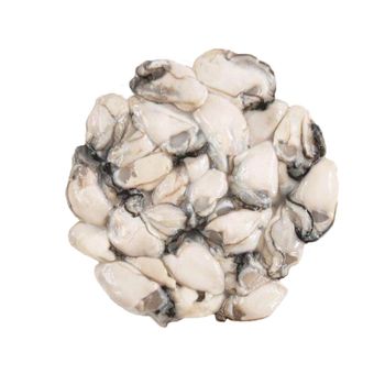 Fresh Frozen High Quality Shelled Oyster Meat Hot Selling Delicious Seafood Factory Wholesale Shellfish Shellless Sea Oysters - Xianfude (fujian) Foods Co., Ltd. - China