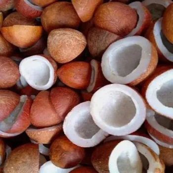 Dry Coconut (Copra) Oil Content 60-70% Form Chunks, Cups, Or Whole Balls Primary Use Coconut Oil Extraction Types Ball Copra, Milling/edible Copra - AGROCARTE EXIM ENTERPRISES PVT LTD - India