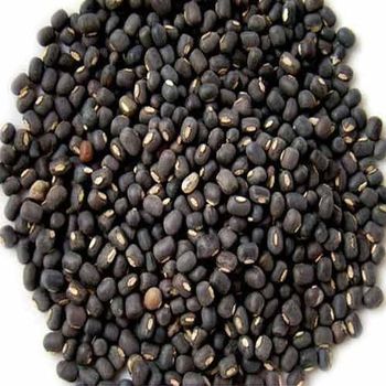 Urad Dal (Split Black Gram) - AGROCARTE EXIM ENTERPRISES PVT LTD - India