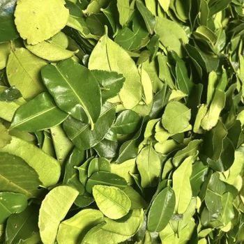 Dried Lime Leaf, GRADE A -  99 Gold Data Processing Trading Company Limited  - Vietnam