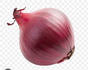 Red onion - Trushi Consultancy - India