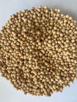 Soybeans Seed - ABS Commercial  - South Africa
