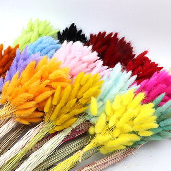 Lagurus grass/Rabbit's Tail Grass Form Grass Texture Dried Appearance Beautifully Dried Intended Use Home Decor, Crafts, Floristry, Decorative - flowerbeautifuleverlasting - China