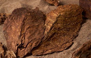 Premium Natural Tobacco Leaf Grades T1, T2, and T3 - CUBICDIOC GENERAL SOLUTION - Tanzania