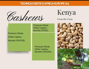 RAW CASHEWS W180 - Technologistics Europe ltd - Greece