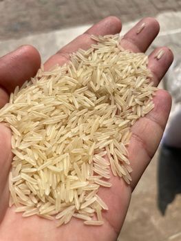 1121 Basmati Long Grain Parboiled Rice - AL-BAAR INTL TRADING CO - Pakistan