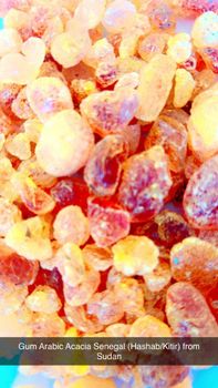 Agricultural Raw Materials Origin Sudan & South Sudan Packing 50 Kg Bags, 50 Kg New Polypropylene Bags Minimum Order Quantity 1 X 20ft Or 40ft Container Depending On Product - Balkon Enterprise Co Ltd - Norway