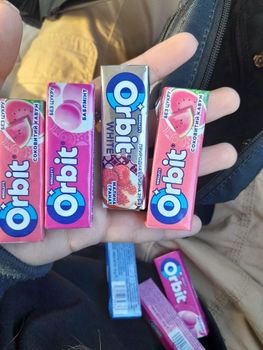 Orbit Gum Candy Premium Quality Fresh Mint Gum Fast Delivery for Students Professionals Drivers - PLANETE COMMERCE - France