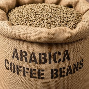 Rich Aroma Arabica Coffee Bean Bulk Distribution Fresh Coffee Bean For Beverage Manufacturers Roasters And Worldwide Coffee Importers - THE GREEN INTERNATIONAL LIMITED - Tanzania